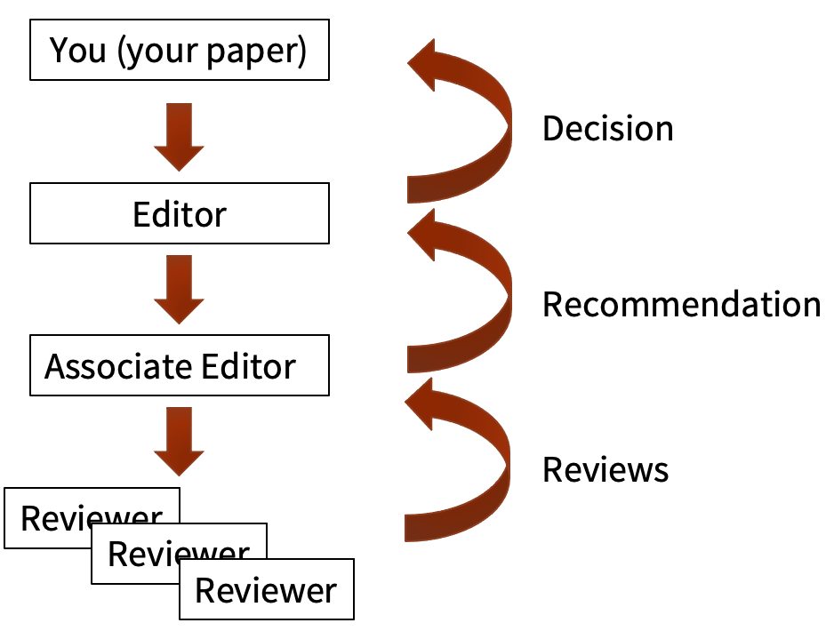 The Peer review Process